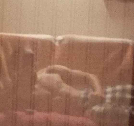 Gaultier - Oud-Heverlee - Brabant flamand | Rencontre Mature