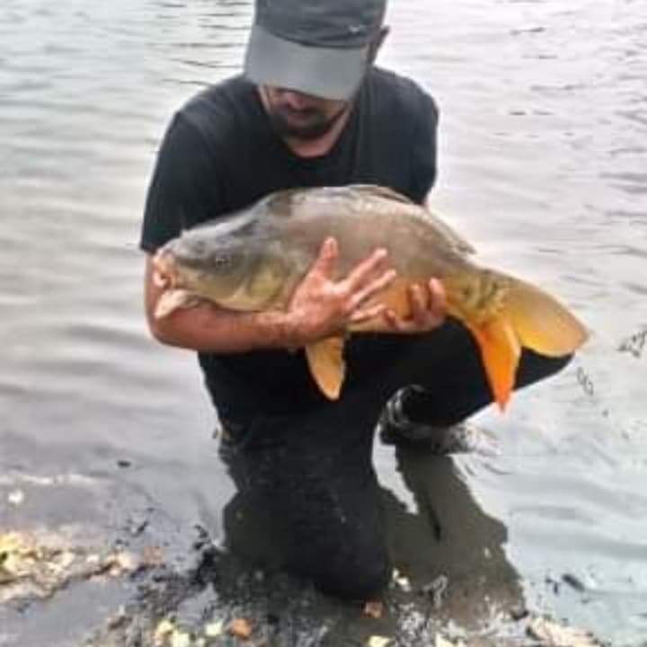 Lemuel - Brunehaut - Hainaut | Rencontre Mature