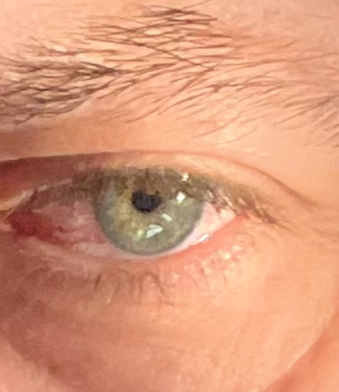 Emric - Orp-Jauche - Brabant wallon | Rencontre Mature